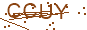 驗證碼 CCUY